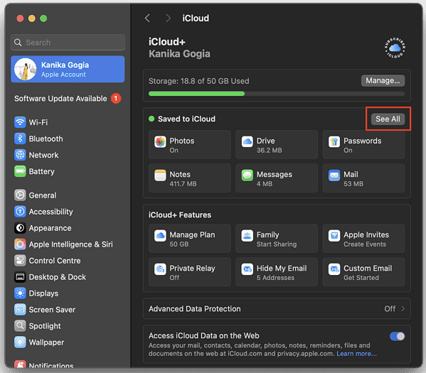 iCloud section in Mac Settings
